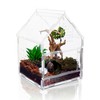 Acrylic Jumping Spider Enclosure with Magnetic Front Door - 360°