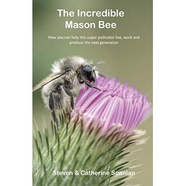 The Incredible Mason Bee