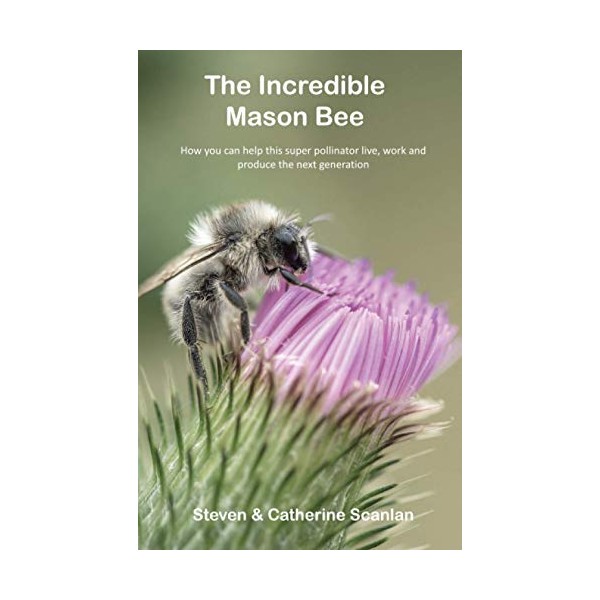The Incredible Mason Bee
