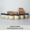Vela de Canela | Calidez Especiada
