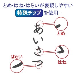 Sakura Crepas FK-J#49 (5) Water-Based Pen, Kakikata, Felt Pen, Extra Thick, Black, 5 Pens