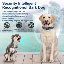 Citronella Bark Collar 2 Pack [No Citronella Refill] Citronella Dog Collar, Level 3 Sensitivity Adjustable Citronella Dog Bark Collar, Safer Anti Barking Control Spray Collar for L/M/S Dogs(2 Pack)