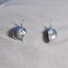 LES POULETTES BIJOUX - Sterling Silber 925 Ohrringe Nautilus Muschel