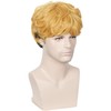 Linfairy Curly Wig, Heat Resistant Wig, Wig, Costume, Disguise Wig,