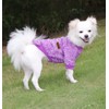 HuaLiSiJi Dog Jumper Fleece Small Dog Jumper Chihuahua, Elasticity Softness