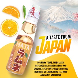Fusion Select Ramune Japanese Soda - Classic Carbonated Japanese Drinks - Fizzy Ramune Soda Drink from Japan in Codd-Neck Bottles with Marble Stoppers - 6.76 oz, 6-Pack (6Bottle- Orange)