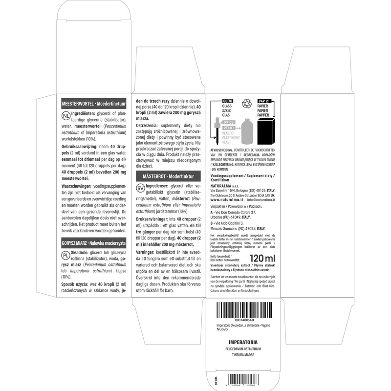 Meisterwurz (Peucedanum ostruthium or Imperatoria ostruthium) Rhizomes Alcohol-free Mother Tincture