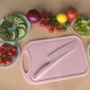 PALAKATE Lettuce Knife, 11 inch Nylon knife, Plastic Lettuce Knife