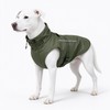 Dog Raincoat for Rainy Walks – Waterproof Polyester Jacket with
