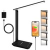 shinelife LED Desk Lamp for Office Home, Bright Desk Light