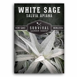 Survival Garden Seeds - White Sage Seeds for Planting - Grow Sustainable Smudging Herbs - 1 Packet with Instructions to Plant & Grow in Your Home Garden - Non-GMO Heirloom Variety