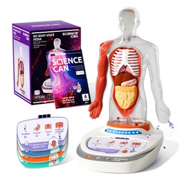 Science Can Human Body Model for Kids - Interactive Anatomy Model with 17 Pcs Removable Human Torso, STEM Educational Science Kit for Kids Aged 8+ Boys and Girls Gifts