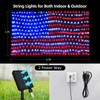 Green Convenience American Flag Lights with 420 LED String Light,2-in-1