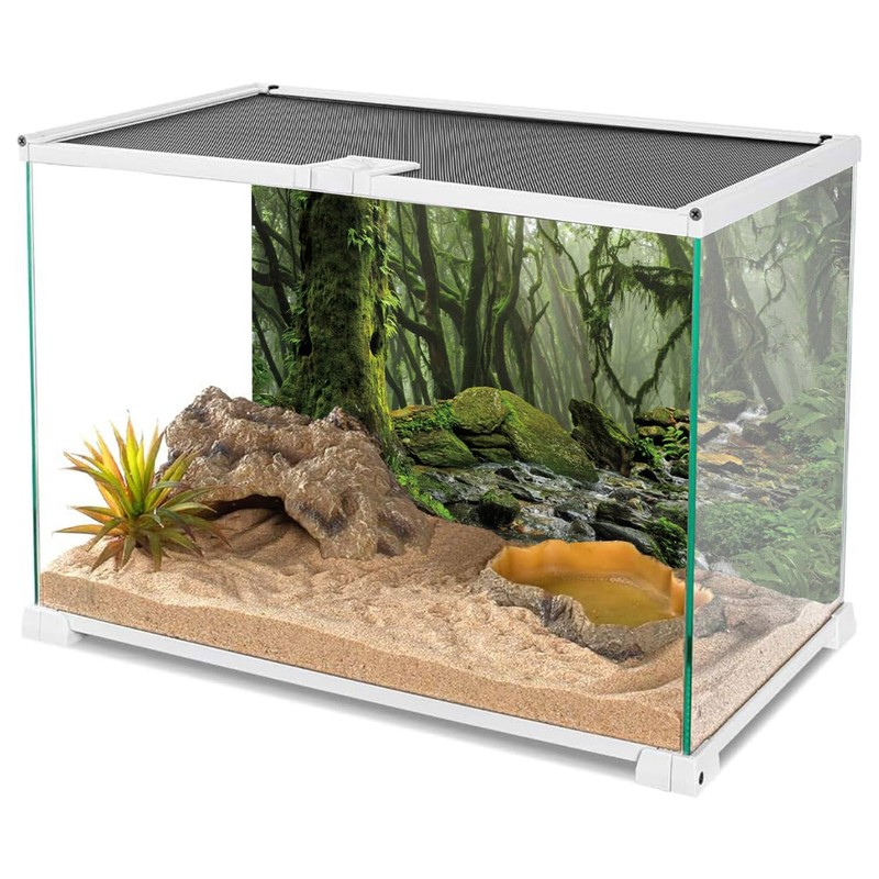 AWERT Foggy Forest Terrarium Background - Stream Green Huge Tree