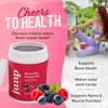 JUNP JUNP Electrolytes Powder No Sugar No Carbs, Wild Berry