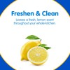 Plink Garbage Disposal Cleaner, Freshener & Odor Removing Balls, Easy