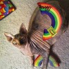 Yeowww! Catnip Toy, Rainbow (New Version)