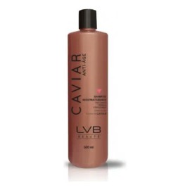 Lv Beaute Shampoo Reestructurante 500ml