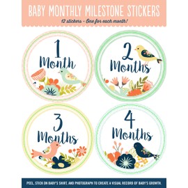 Baby Monthly Milestone Stickers: Birds (12 stickers)