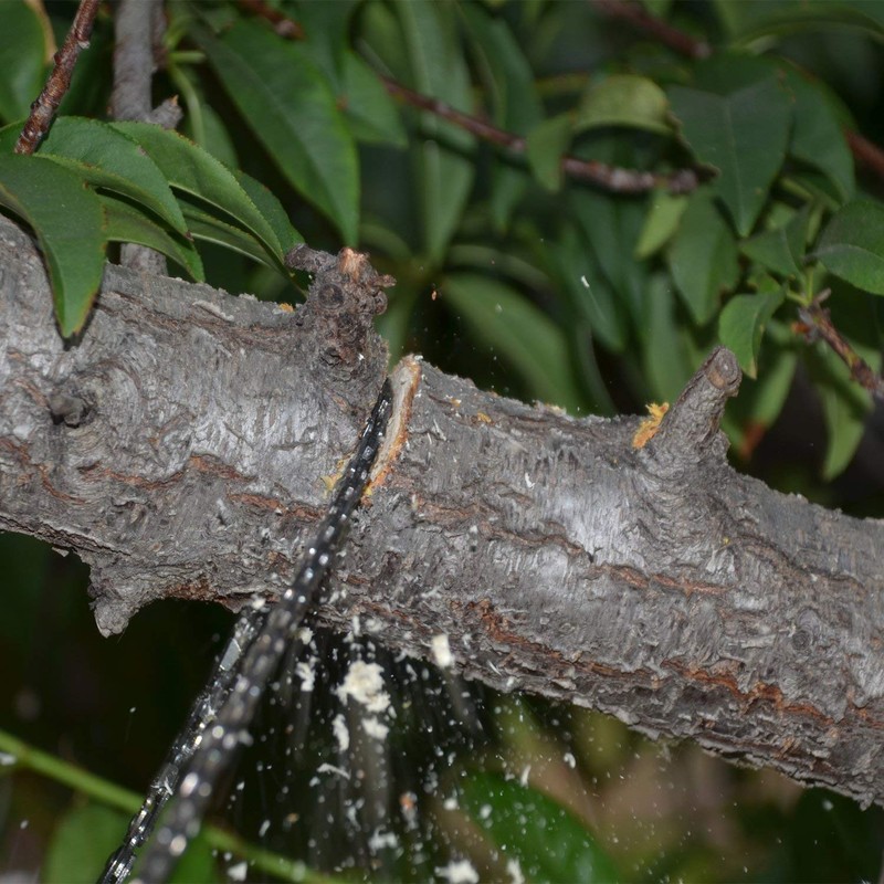 upgrade 53 Inch High Reach Tree Limb Hand Rope Chain