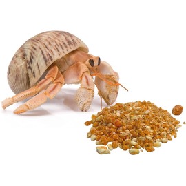 Hermit Crab Supplies Bulk All Natural Treats, Habitat Necessities for Pet Crabs, Keep Your Pets Healthy, 0.75 Ounces, Pack of 3