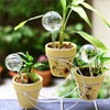 Self Watering Globes for Plants, Large 6pcs Glass Garden Self