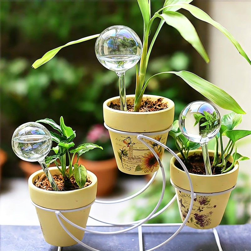 Self Watering Globes for Plants, Large 6pcs Glass Garden Self