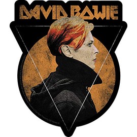 C&D Visionary David Bowie Triangle Sun Sticker, Orange, Black