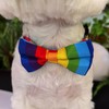 Blingbling Warmth Pet Collar Bow Tie & Tie, Comfortable Rainbow