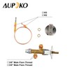 Aupoko Low Pressure LPG Propane Gas Flame Failure Safety Control