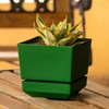 Cubiark Garden 6 Inch Square Planter Pot, with Saucer Tray