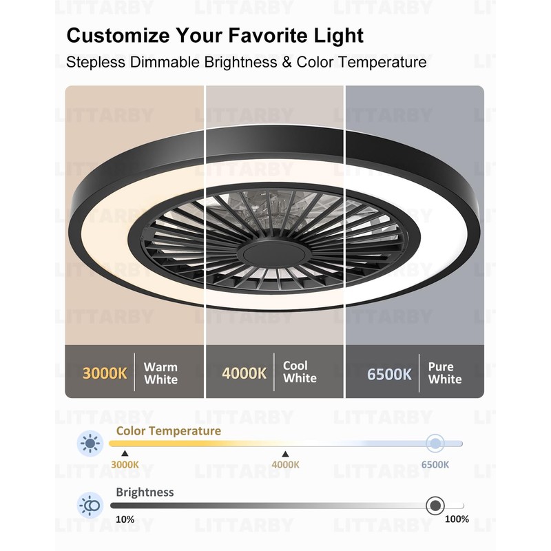 Ceiling Fans with Lights and Remote, 22 Inch Enclosed Bladeless