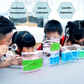 EXBEPE Ant Farm Large 2 Layer Gel Ant Colony Ecosystem Terrarium, Ant Habitat Science Learning Kit(with No Ant)