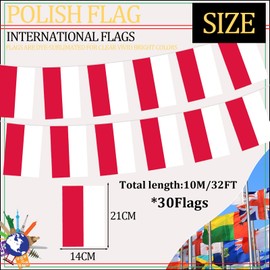 Länder Flaggen (Saitenfahnen 10m:Poland)