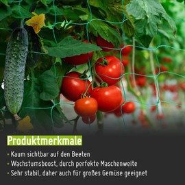 TerraUno - Trellis Net I Trellis for Cucumbers, Tomatoes and Climbing Plants I 2 x 2.5 m I Trellis Aid for Perfect Growth and Yield I Tomato Trellis - Cucumber Trellis Support I Trellis for