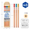 Tombow KB-KSKN01-4B Ippo! Clean-Erase Kakikata Pencils, 4B, 1 Dozen, Natural