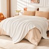 EMME Fluffy Soft Blanket Queen Size - 80"*90" Cream Soft