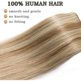 20 inch Clip in Real Human Hair Extensions #12/613 Golden Brown&Bleach Blonde (60g)