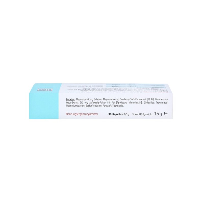 알고이어 Allga MED 배수(이뇨 도움) 캡슐 30st Allga MED Drainage