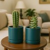 D'vine Dev Set of 2 Plants Pots, 4.7 Inch Ceramic