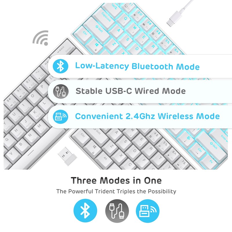 RK ROYAL KLUDGE RK61 Brown Switch White & RK84 LMT