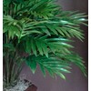 Nearly Natural Areca Palm with Vase Silk Plant, 38" x