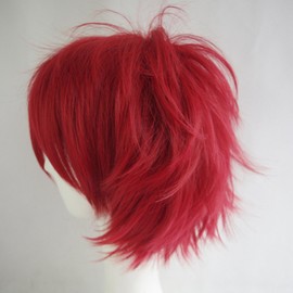 Cosplay 11.8 inches (30 cm) Men's Wig, Short Hair, 20 Colors, Handsome, Fluffy Hair, Wig, Cosplay Wig, Dark Brown (Red)