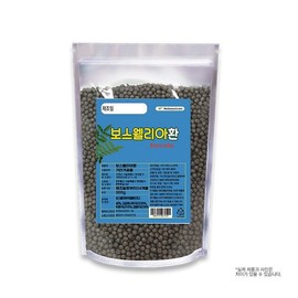 보스웰리아환 300g (001101) 정우당 Boswellia Tablets 300g (001101) Jeongwoodang