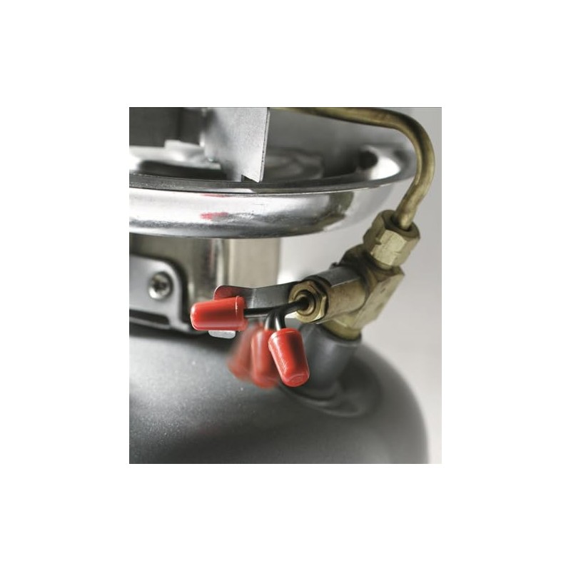 Coleman Dual Fuel Stove,Liquefied Petroleum Gas