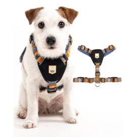 Woolly Wolf Nightless Night Dog Harness XXS - Dog Harness for Small Dogs Made of Recycled Polyester, Perfect Fit and Reflectors for Increased Visibility