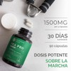 Neurogan- “Suplemento de Palmitoyletanolamida Ultra Micronizada (Guisante) 1500 MG Por