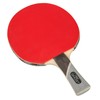 STIGA Ghost Ping Pong Paddle - USATT Approved - 5-ply