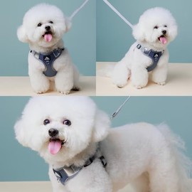 Puppy Harness and Leash Set, Dog Harness Small Breed Adjustable Reflective Step in Harness for Dogs Soft Mesh Comfort Fit No Pull No Choke,Dog Vest Harness for Medium Dogs