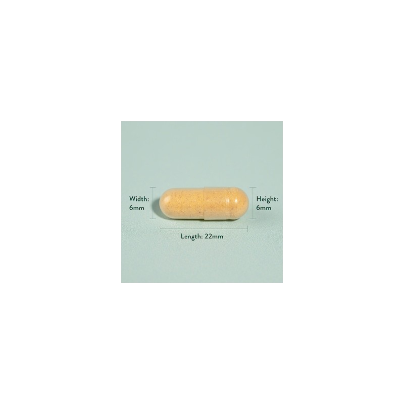 Holland & Barrett Turmeric 500mg 240 Capsules